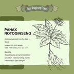 Panax Polysaccharide Repairing Lotion