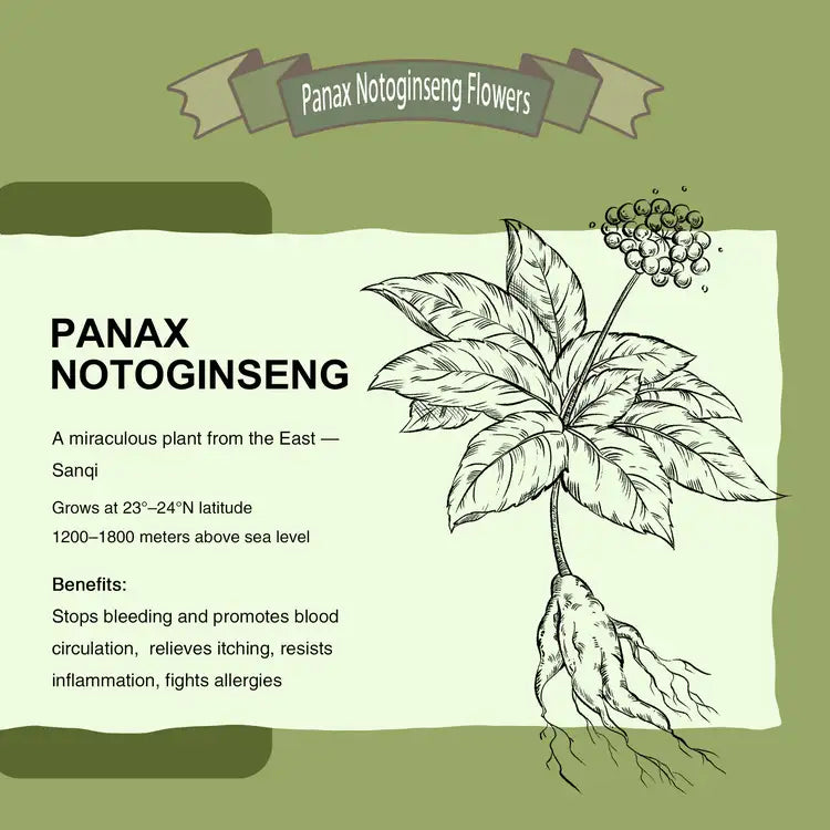 Panax Polysaccharide Repairing Lotion
